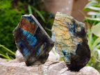 Polished On One Side Labradorite x 12 From Tulear, Madagascar - Toprock Gemstones and Minerals 