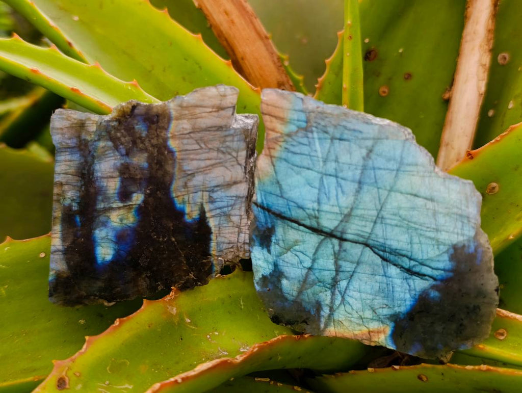 Polished On One Side Labradorite x 12 From Tulear, Madagascar - Toprock Gemstones and Minerals 