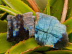 Polished On One Side Labradorite x 12 From Tulear, Madagascar - Toprock Gemstones and Minerals 