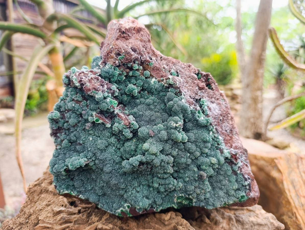 Natural Drusy Coated Malachite On Dolomite Specimen x 1 From Lupoto Mine, Congo - Toprock Gemstones and Minerals 