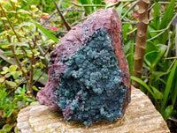 Natural Drusy Coated Malachite On Dolomite Specimen x 1 From Lupoto Mine, Congo