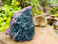 Natural Drusy Coated Malachite On Dolomite Specimen x 1 From Lupoto Mine, Congo