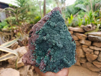 Natural Drusy Coated Malachite On Dolomite Specimen x 1 From Lupoto Mine, Congo