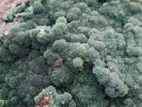 Natural Drusy Coated Malachite On Dolomite Specimen x 1 From Lupoto Mine, Congo