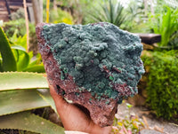 Natural Drusy Coated Malachite On Dolomite Specimen x 1 From Lupoto Mine, Congo