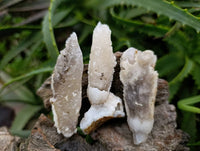Natural Drusy Quartz Coated Calcite Pseudomorph Specimens x 12 From Alberts Mountain, Lesotho