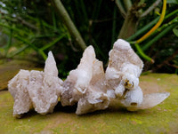 Natural Drusy Quartz Coated Calcite Pseudomorph Specimens x 12 From Alberts Mountain, Lesotho