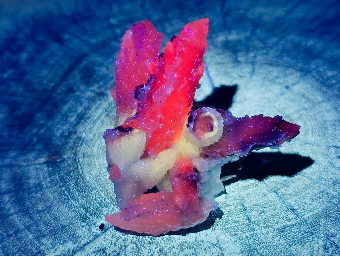 Natural Drusy Quartz Coated Calcite Pseudomorph Specimens x 12 From Alberts Mountain, Lesotho - Toprock Gemstones and Minerals 