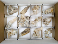Natural Drusy Quartz Coated Calcite Pseudomorph Specimens x 12 From Alberts Mountain, Lesotho