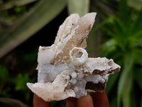 Natural Drusy Quartz Coated Calcite Pseudomorph Specimens x 12 From Alberts Mountain, Lesotho