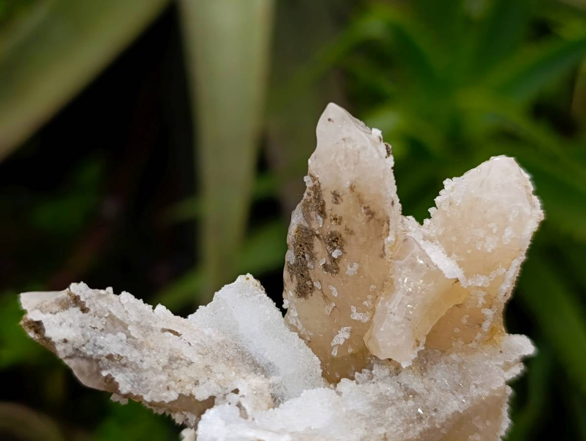 Natural Drusy Quartz Coated Calcite Pseudomorph Specimens x 12 From Alberts Mountain, Lesotho - Toprock Gemstones and Minerals 