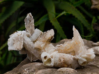 Natural Drusy Quartz Coated Calcite Pseudomorph Specimens x 12 From Alberts Mountain, Lesotho