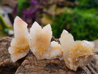 Natural Golden Limonite Spirit Quartz Crystals x 35 From Boekenhouthoek, South Africa