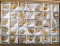 Natural Golden Limonite Spirit Quartz Crystals x 35 From Boekenhouthoek, South Africa