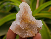 Natural Golden Limonite Spirit Quartz Crystals x 35 From Boekenhouthoek, South Africa