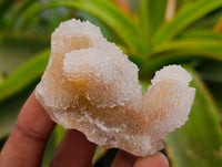 Natural Golden Limonite Spirit Quartz Crystals x 35 From Boekenhouthoek, South Africa