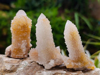 Natural Golden Limonite Spirit Quartz Crystals x 35 From Boekenhouthoek, South Africa