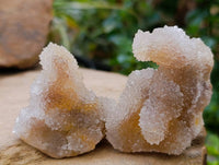 Natural Golden Limonite Spirit Quartz Crystals x 35 From Boekenhouthoek, South Africa
