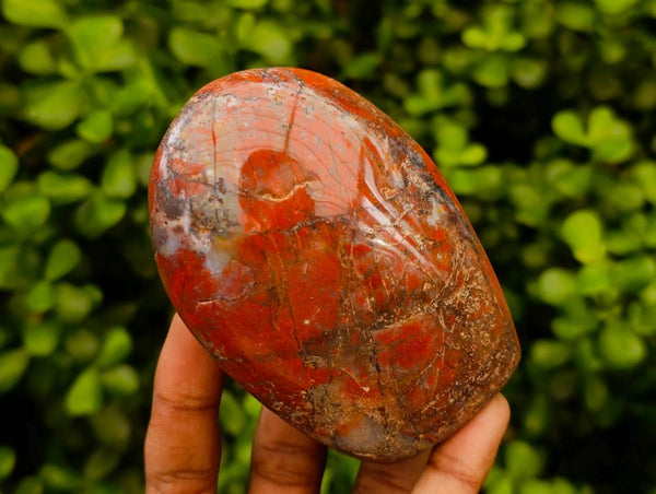 Polished Red Jasper Standing Free Forms x 6 From Madagascar