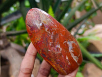 Polished Red Jasper Standing Free Forms x 6 From Madagascar