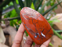 Polished Red Jasper Standing Free Forms x 6 From Madagascar