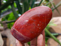 Polished Red Jasper Standing Free Forms x 6 From Madagascar