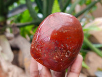 Polished Red Jasper Standing Free Forms x 6 From Madagascar