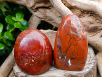 Polished Red Jasper Standing Free Forms x 6 From Madagascar