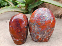 Polished Red Jasper Standing Free Forms x 6 From Madagascar