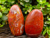 Polished Red Jasper Standing Free Forms x 6 From Madagascar
