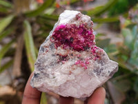 Natural Salrose Cobaltion Dolomite with Ball Malachite & Chrysocolla Specimens x 6 From Kakanda, Congo
