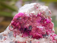 Natural Salrose Cobaltion Dolomite with Ball Malachite & Chrysocolla Specimens x 6 From Kakanda, Congo