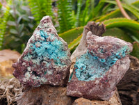 Natural Salrose Cobaltion Dolomite with Ball Malachite & Chrysocolla Specimens x 6 From Kakanda, Congo