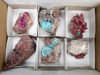 Natural Salrose Cobaltion Dolomite with Ball Malachite & Chrysocolla Specimens x 6 From Kakanda, Congo