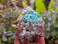 Natural Salrose Cobaltion Dolomite with Ball Malachite & Chrysocolla Specimens x 6 From Kakanda, Congo