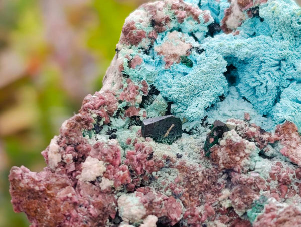 Natural Salrose Cobaltion Dolomite with Ball Malachite & Chrysocolla Specimens x 6 From Kakanda, Congo