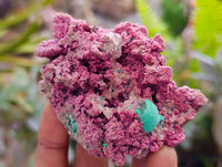 Natural Salrose Cobaltion Dolomite with Ball Malachite & Chrysocolla Specimens x 6 From Kakanda, Congo