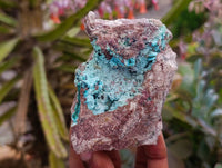 Natural Salrose Cobaltion Dolomite with Ball Malachite & Chrysocolla Specimens x 6 From Kakanda, Congo