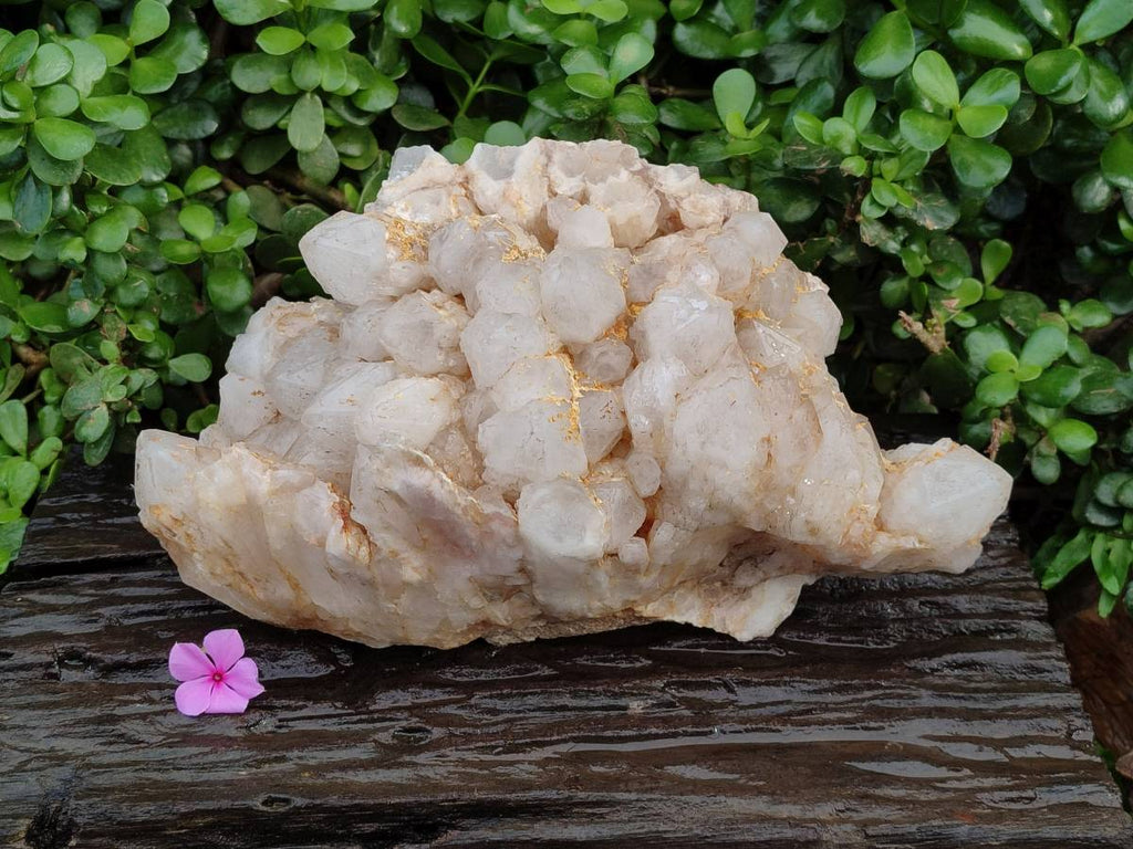 Natural Etched Window Candle Quartz Clusters x 1 From Ansirabe, Madagascar - Toprock Gemstones and Minerals 