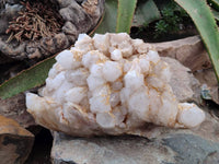 Natural Etched Window Candle Quartz Clusters x 1 From Ansirabe, Madagascar