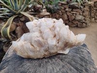 Natural Etched Window Candle Quartz Clusters x 1 From Ansirabe, Madagascar