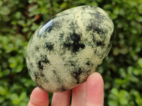Polished Leopard Stone Free Forms x 6 From Zimbabwe