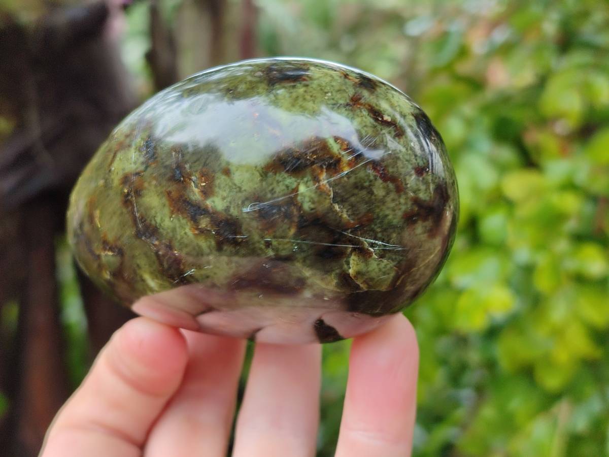 Polished Leopard Stone Free Forms x 6 From Zimbabwe - Toprock Gemstones and Minerals 