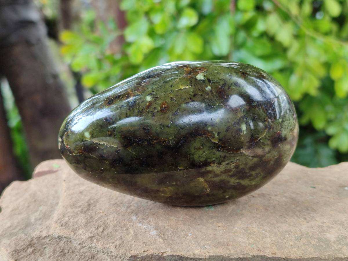 Polished Leopard Stone Free Forms x 6 From Zimbabwe - Toprock Gemstones and Minerals 