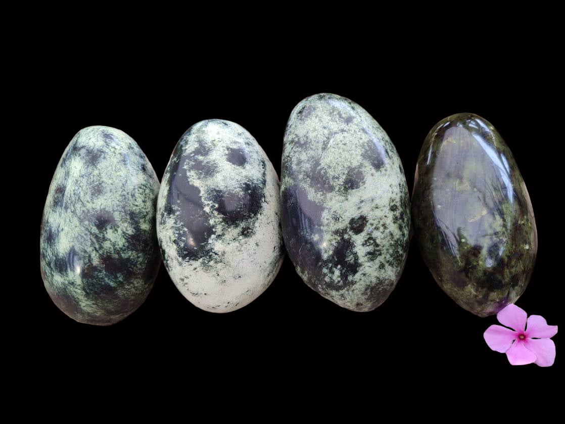 Polished Leopard Stone Free Forms x 6 From Zimbabwe - Toprock Gemstones and Minerals 