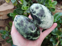 Polished Leopard Stone Free Forms x 6 From Zimbabwe