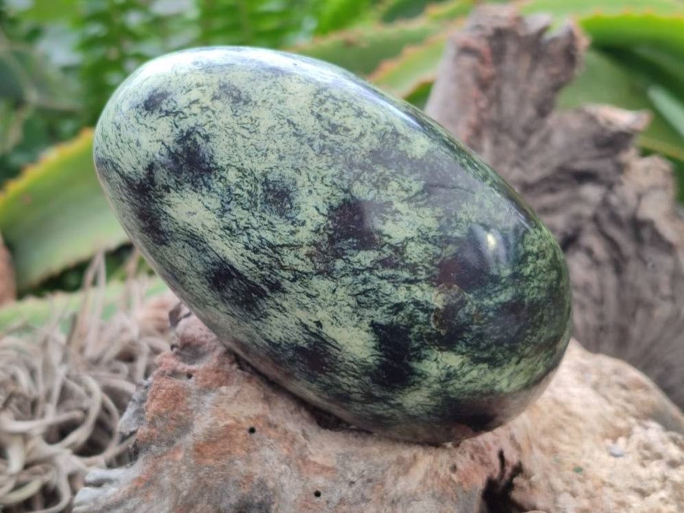 Polished Leopard Stone Free Forms x 6 From Zimbabwe - Toprock Gemstones and Minerals 