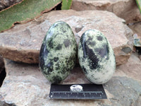 Polished Leopard Stone Free Forms x 6 From Zimbabwe