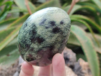 Polished Leopard Stone Free Forms x 6 From Zimbabwe