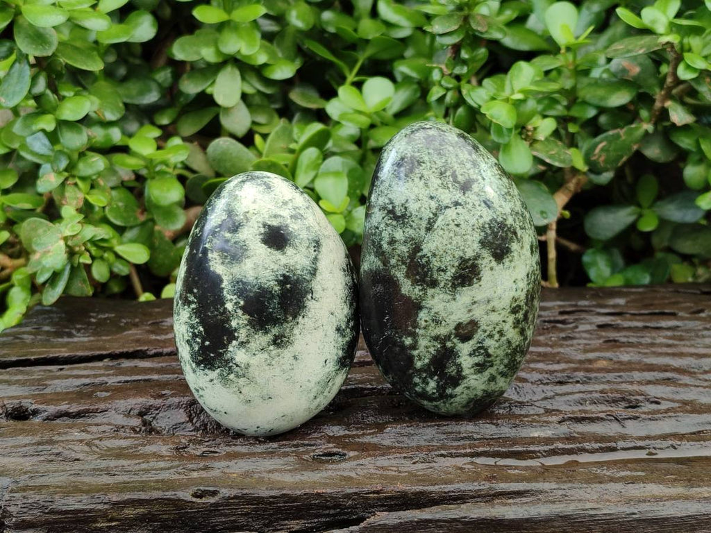 Polished Leopard Stone Free Forms x 6 From Zimbabwe - Toprock Gemstones and Minerals 